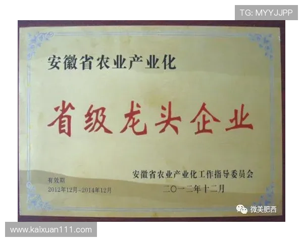 肥西电视台直播最新节目表及观看指南